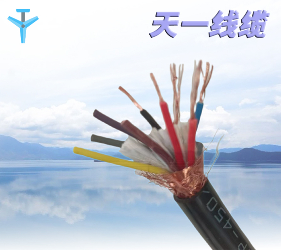 天一线缆邯郸有限公司的服务理念与客户体验